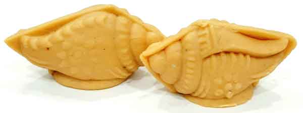 Special Gur Shanka Sandesh